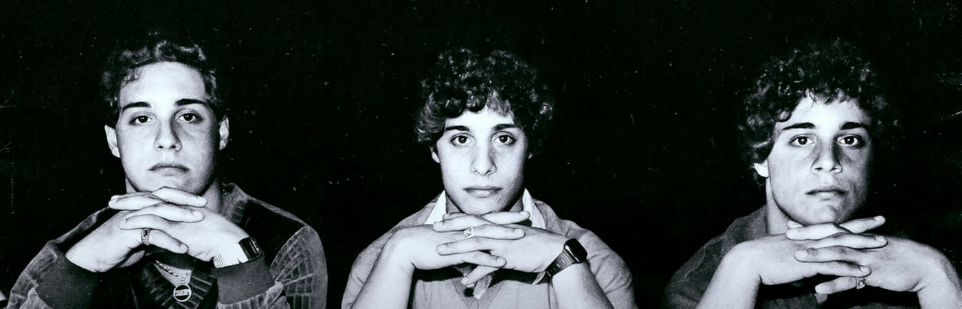 Three Identical Strangers