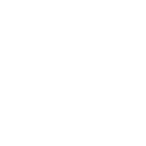 Bruce Lee: The Legend