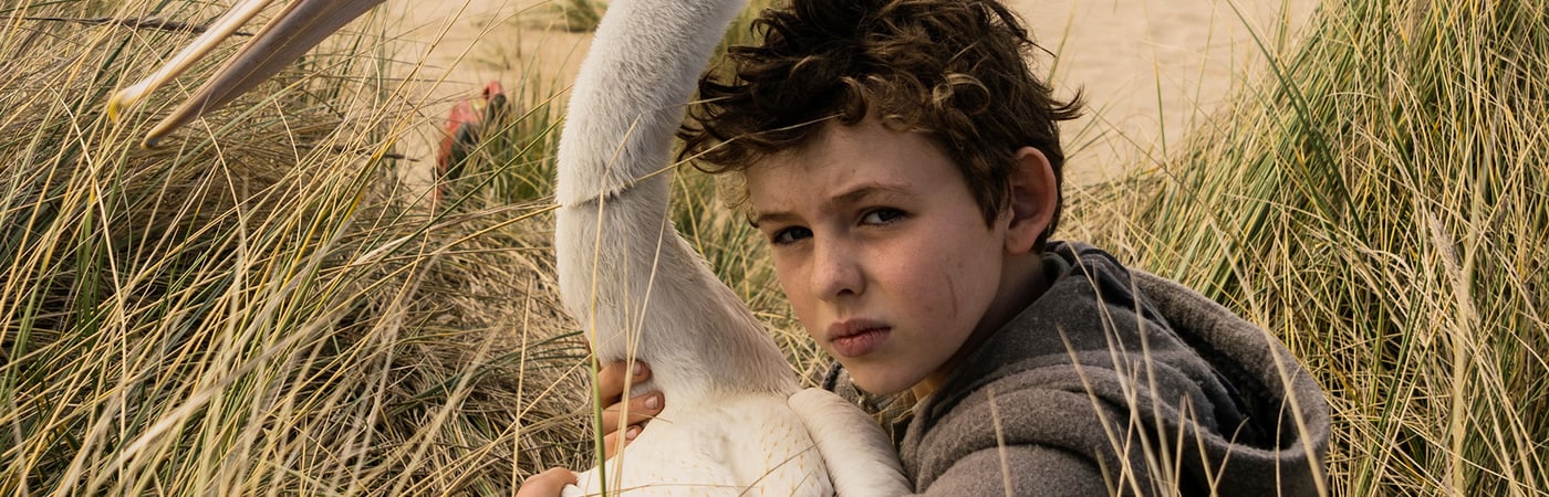 Storm Boy