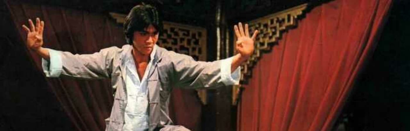 Kung Fu Zombie