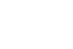Loco y Estúpido Amor