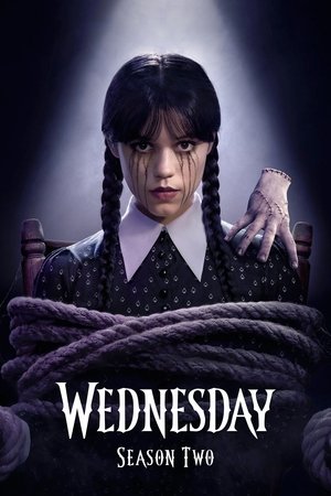 noSynopsis