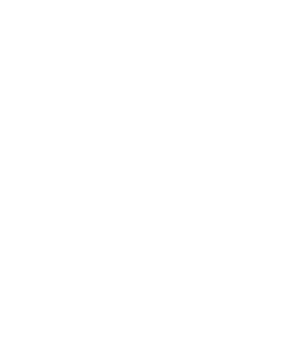 The Fall