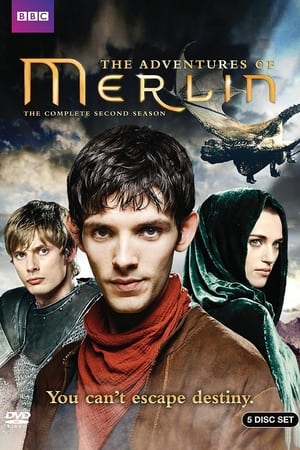 noSynopsis