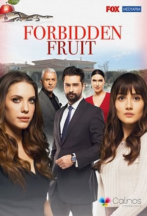 noSynopsis