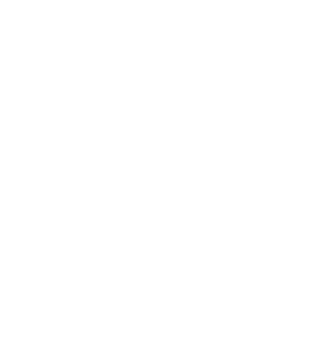 18 Pages