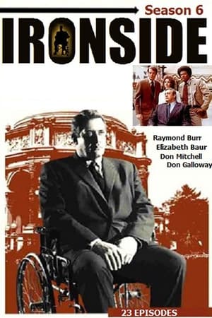 noSynopsis