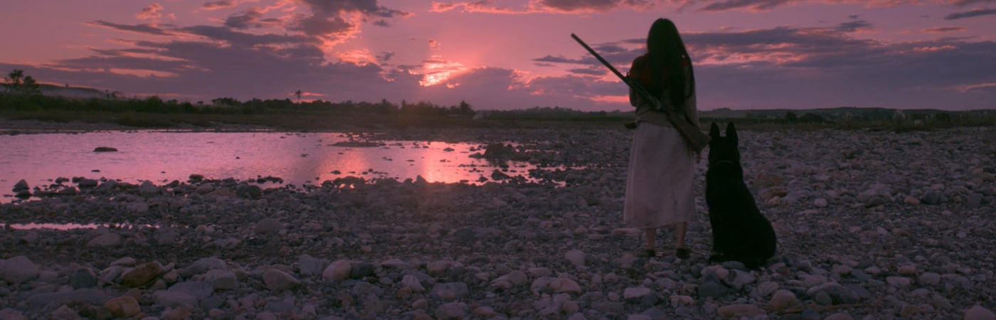 Birdshot