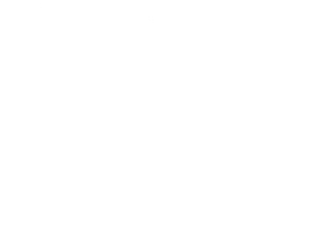 365 días