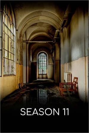 Synopsis not available
