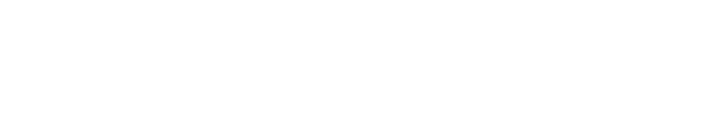 The Spirit
