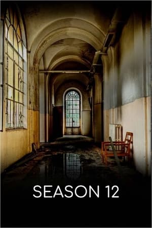 Synopsis not available