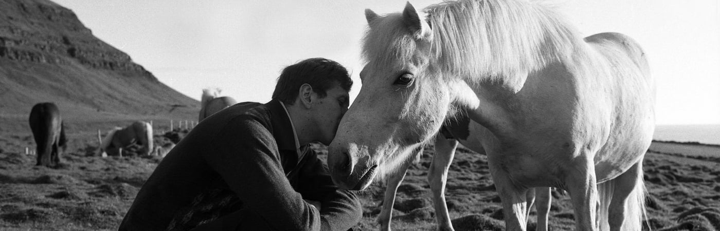 Bobby Fischer Against the World