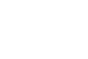 In a Violent Nature