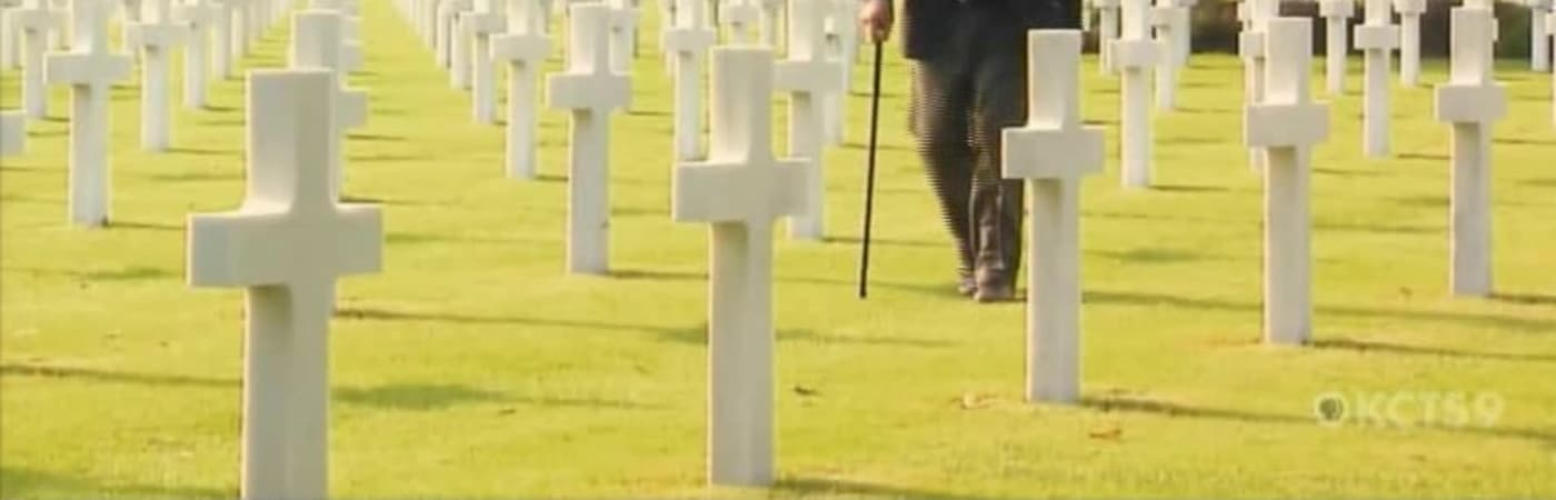 Day of Days: June 6, 1944 - American Soldiers Remember D-Day