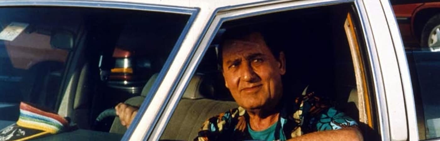 A Taxi Driver in New York