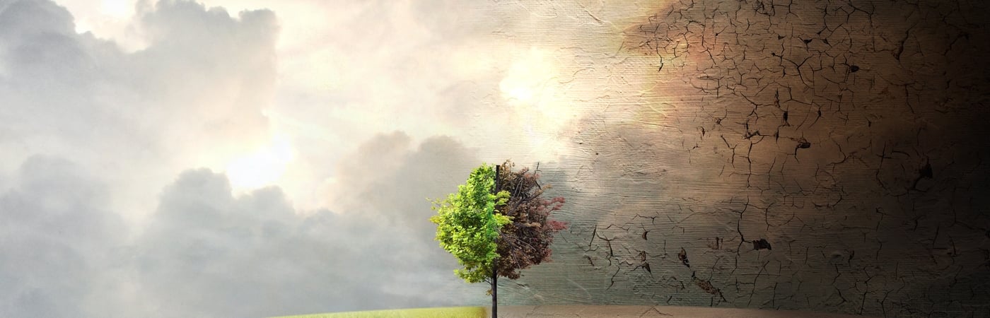 Before the Flood