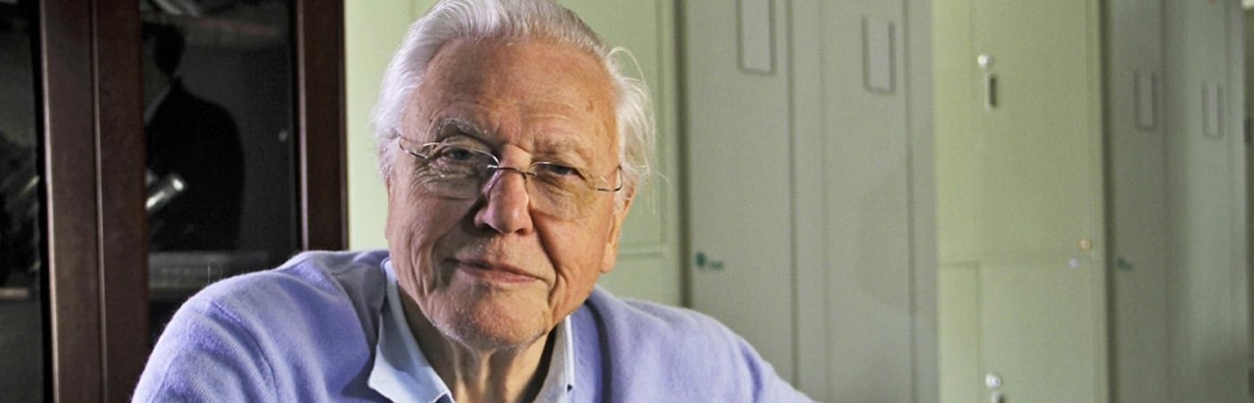 David Attenborough's Rise of Animals: Triumph of the Vertebrates