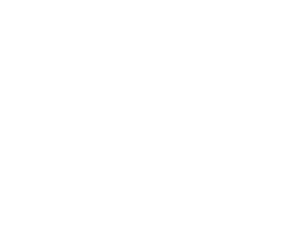 El brutalista