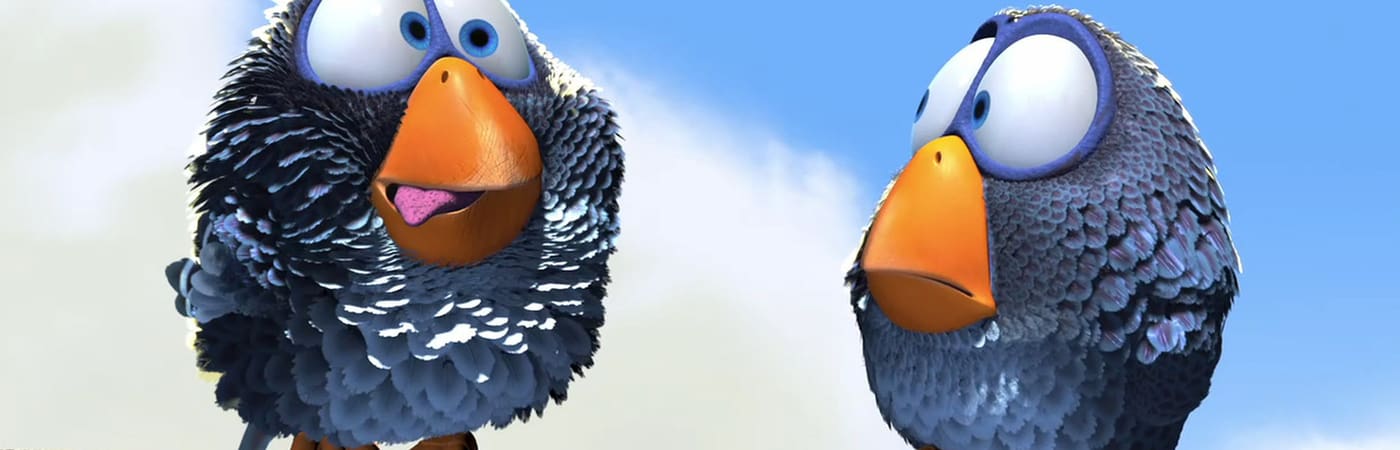 For the Birds