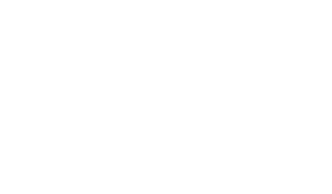 Compañera perfecta
