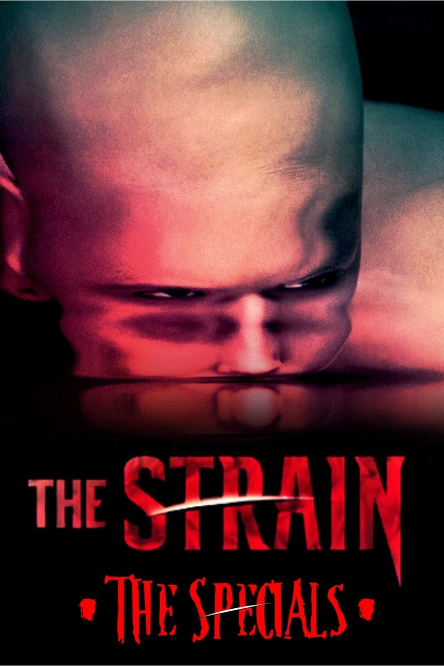 noSynopsis