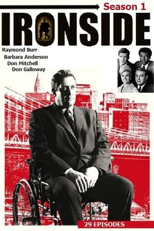 noSynopsis