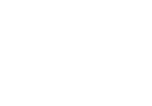 The Blue Whale