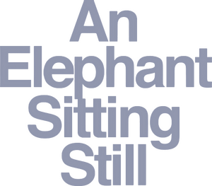 An Elephant Sitting Still