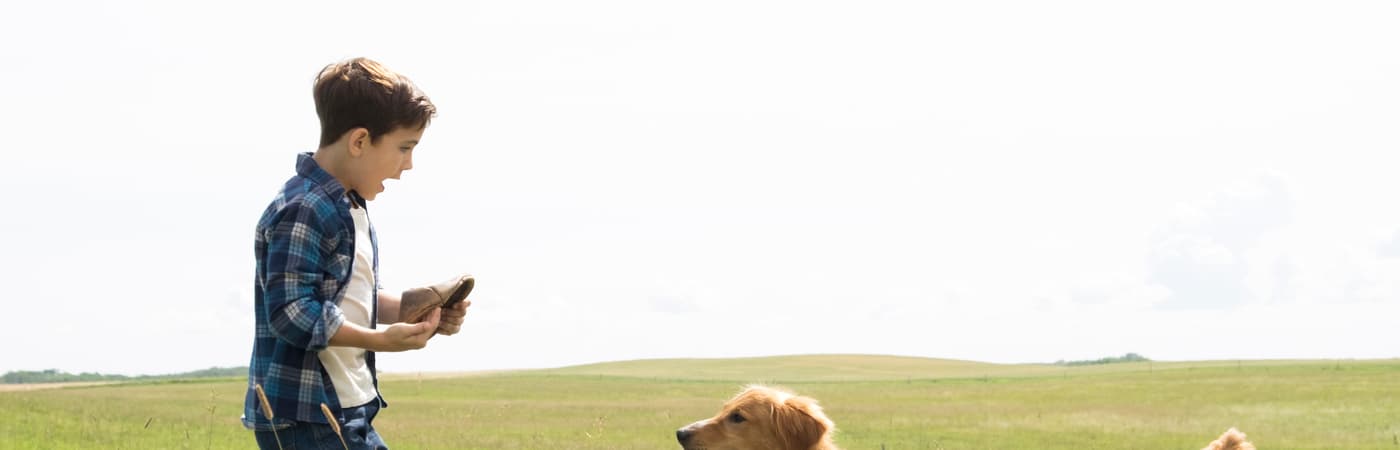 A Dog's Purpose