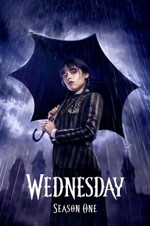noSynopsis
