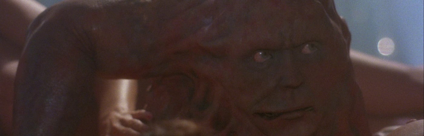 Basket Case 3: The Progeny