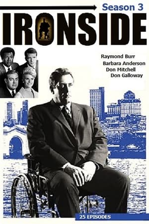 noSynopsis