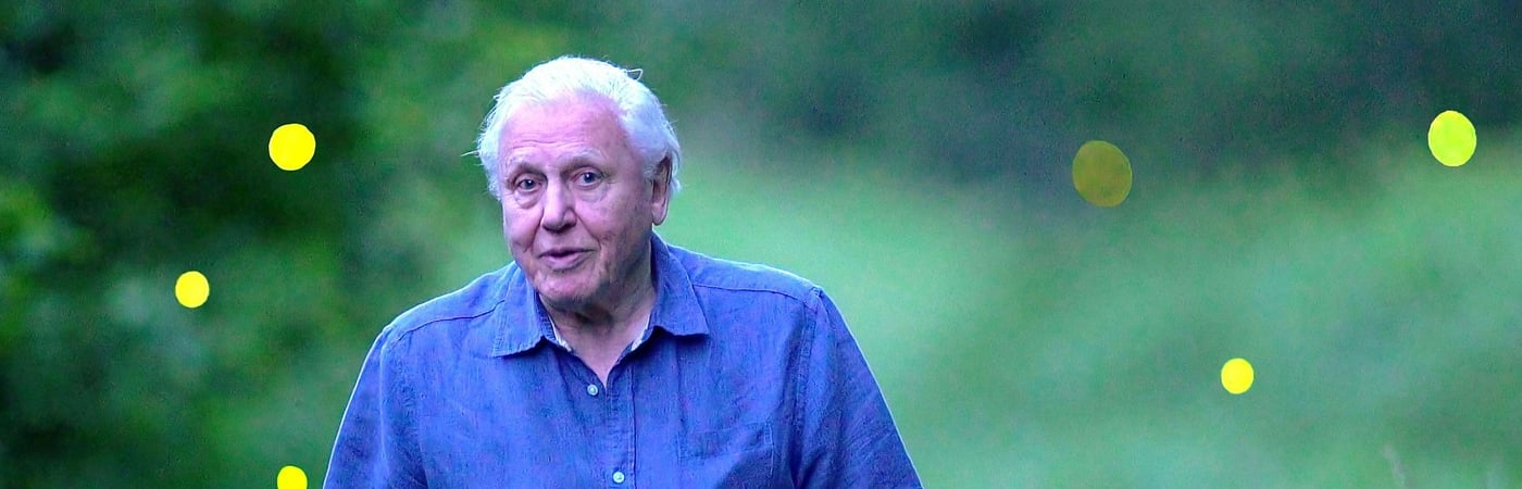 Attenborough's Life That Glows