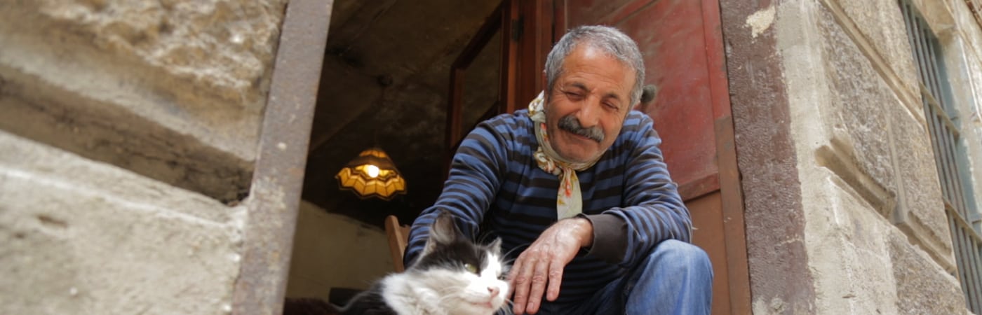 Kedi