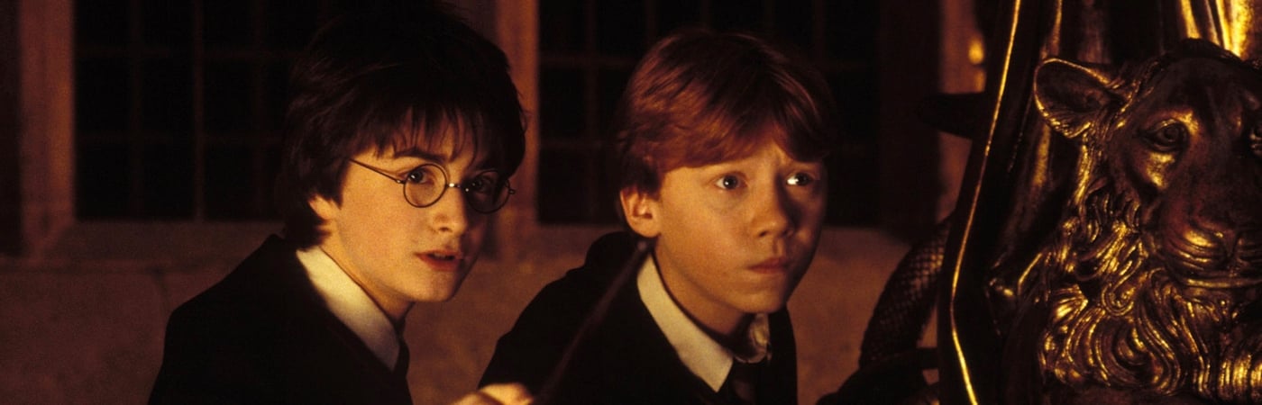 Harry Potter and the Chamber of Secrets