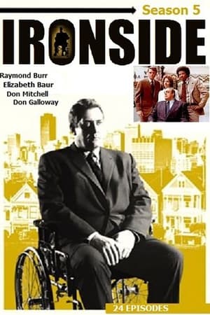 noSynopsis