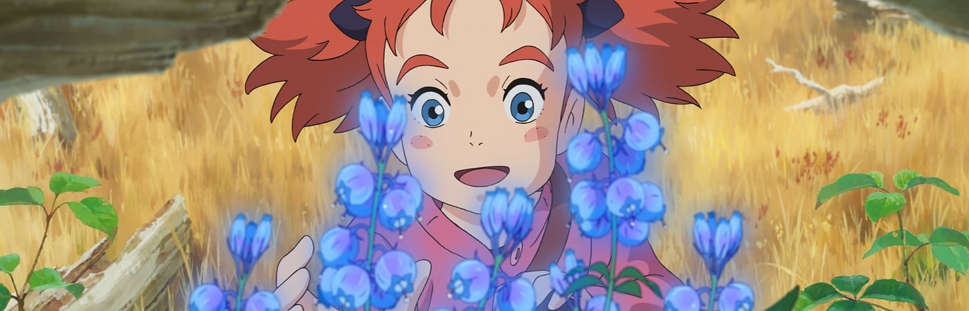 Mary and The Witch's Flower