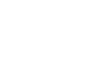 The Good Half