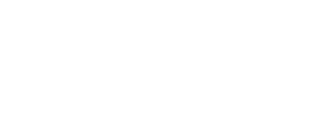 Robot salvaje
