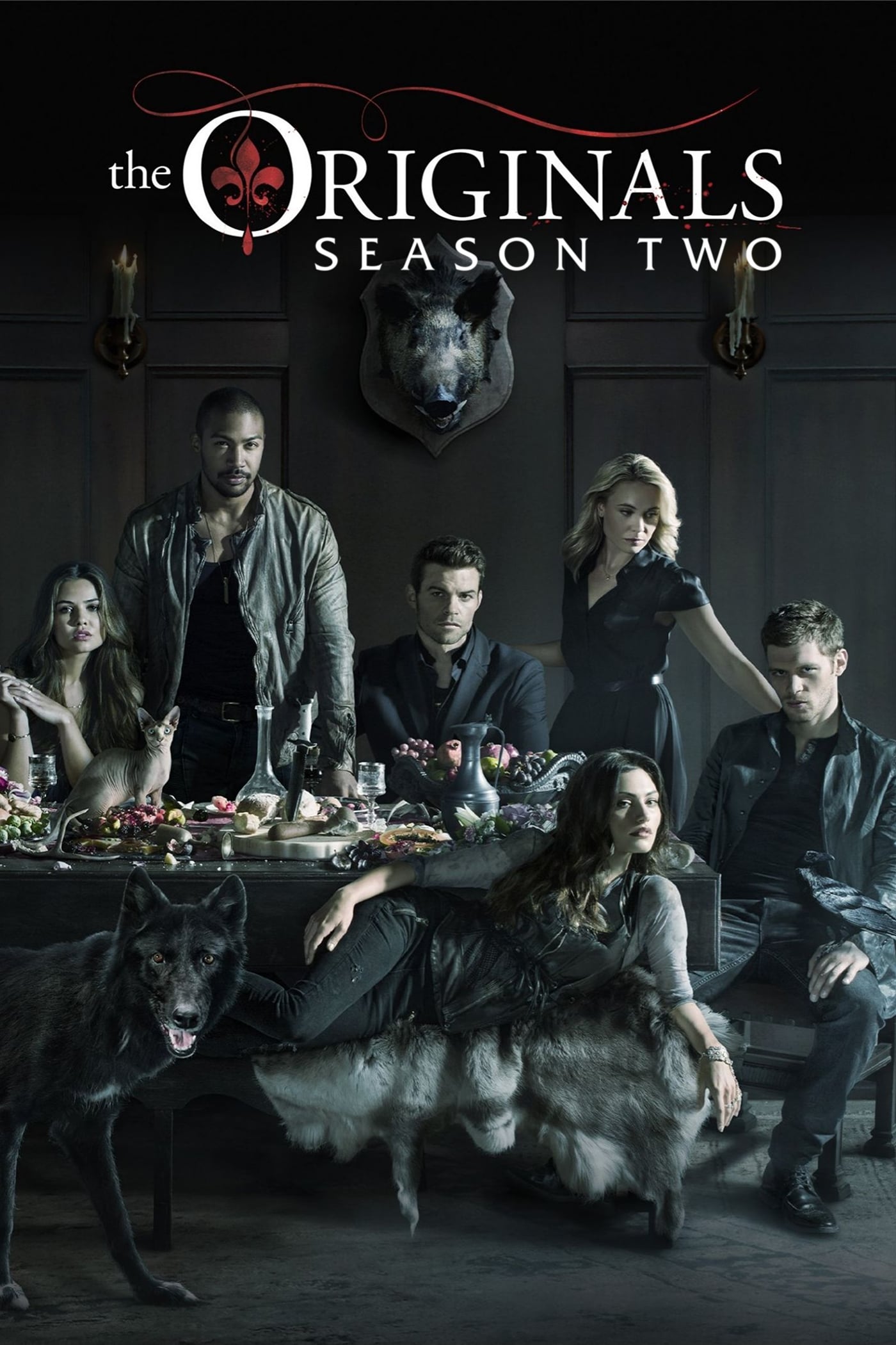 noSynopsis